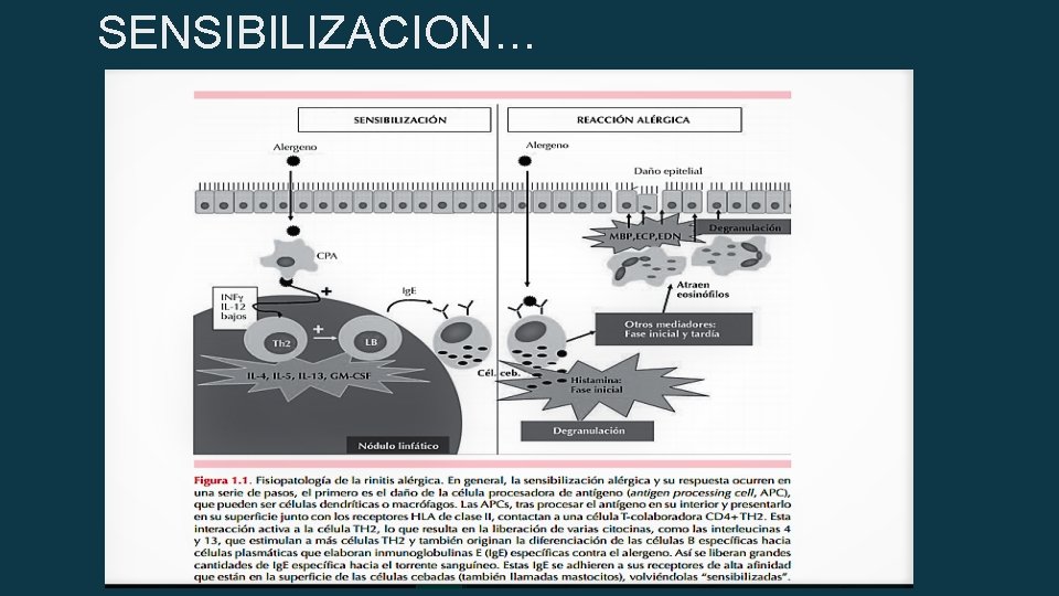 SENSIBILIZACION… 