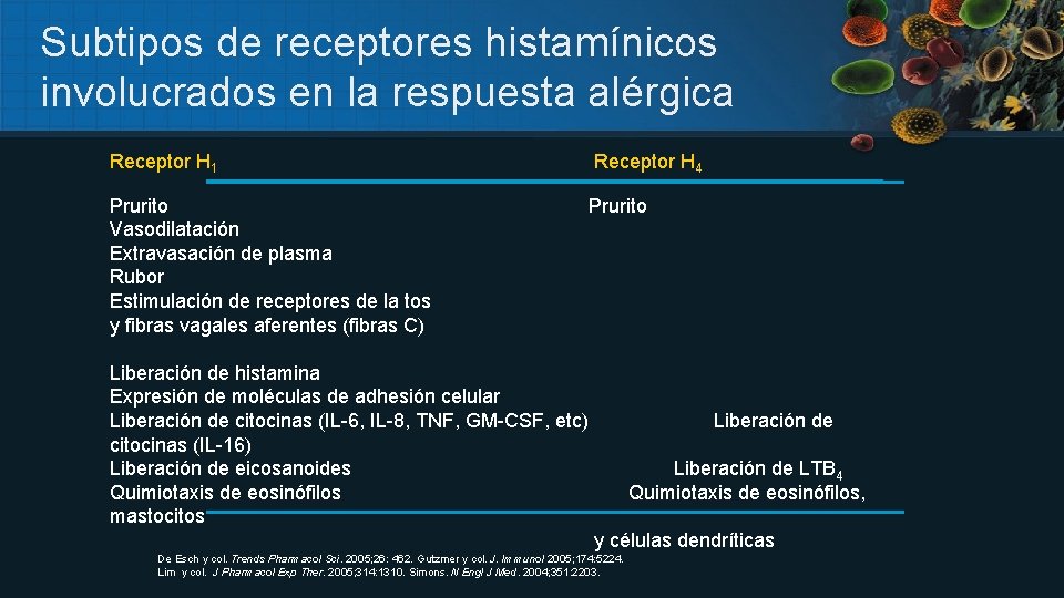 Subtipos de receptores histamínicos involucrados en la respuesta alérgica Receptor H 1 Receptor H