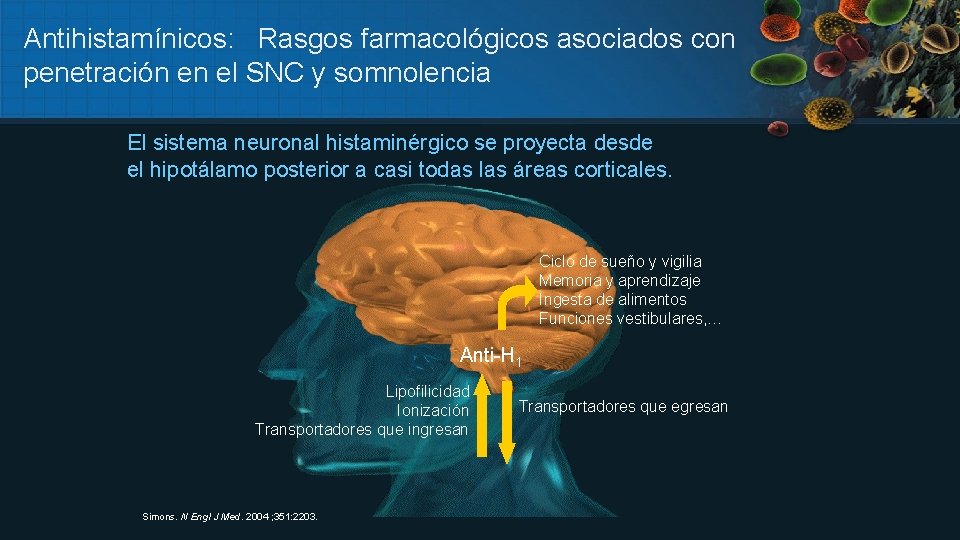 Antihistamínicos: Rasgos farmacológicos asociados con penetración en el SNC y somnolencia El sistema neuronal