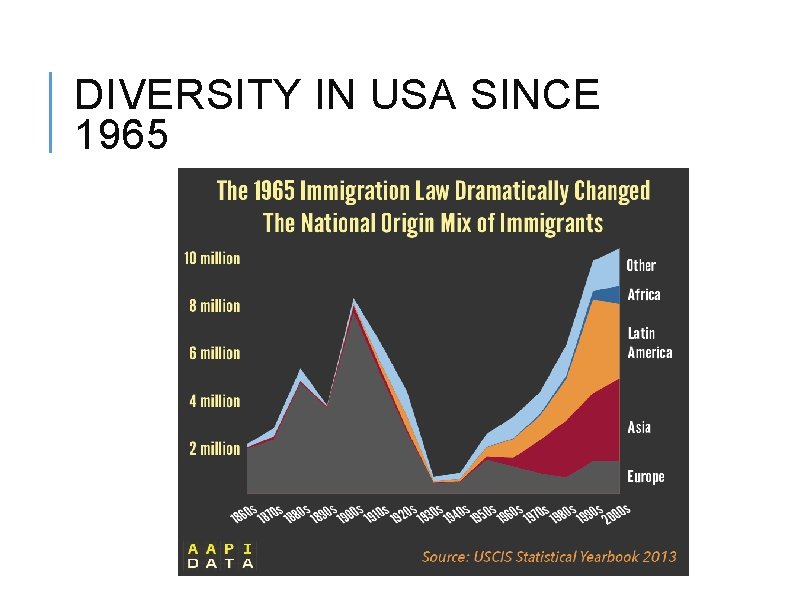 DIVERSITY IN USA SINCE 1965 