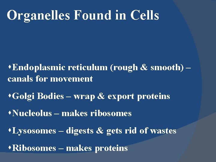 Organelles Found in Cells s. Endoplasmic reticulum (rough & smooth) – canals for movement
