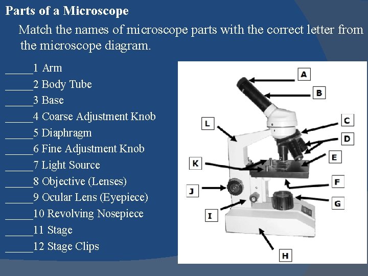 Parts of a Microscope Match the names of microscope parts with the correct letter