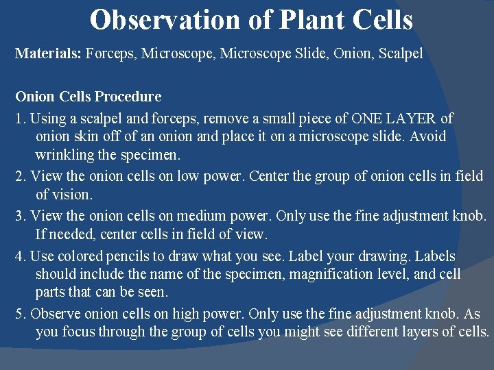 Observation of Plant Cells Materials: Forceps, Microscope Slide, Onion, Scalpel Onion Cells Procedure 1.