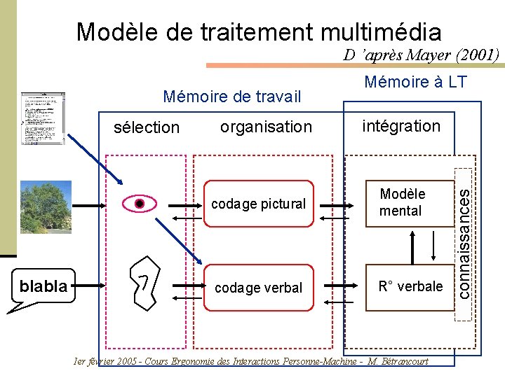 Modèle de traitement multimédia D ’après Mayer (2001) sélection blabla organisation intégration codage pictural