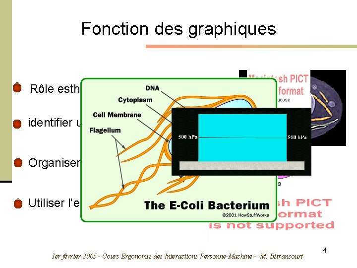 Fonction des graphiques Rôle esthétique, attractif et motivant identifier un objet, un scène Organiser