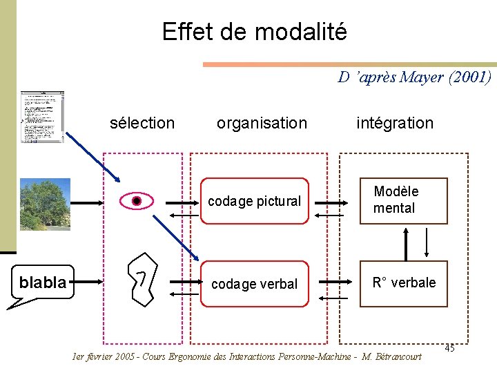 Effet de modalité D ’après Mayer (2001) sélection blabla organisation intégration codage pictural Modèle