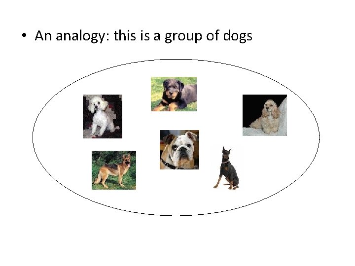  • An analogy: this is a group of dogs 