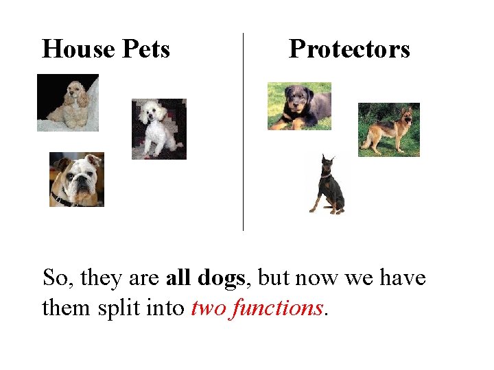 House Pets Protectors So, they are all dogs, but now we have them split
