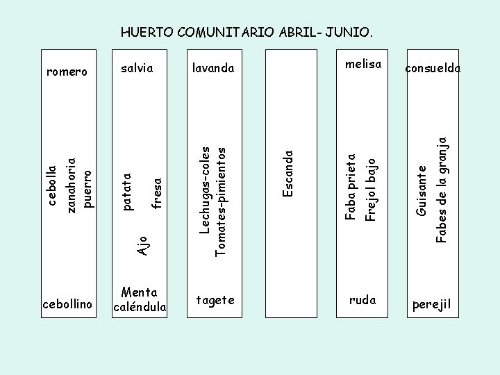 cebollino fresa Menta caléndula tagete ruda Fabes de la granja melisa Guisante Frejol bajo