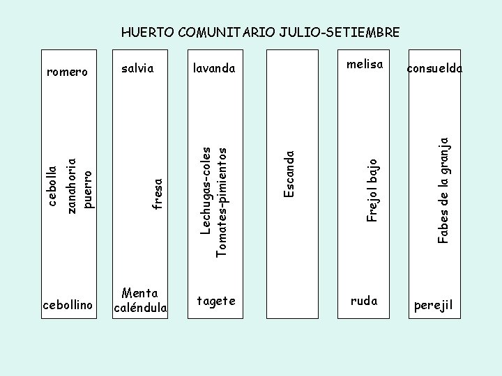 HUERTO COMUNITARIO JULIO-SETIEMBRE Escanda Fabes de la granja tagete consuelda Frejol bajo melisa lavanda