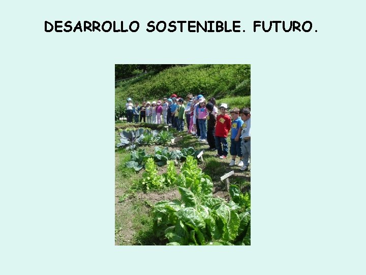 DESARROLLO SOSTENIBLE. FUTURO. 