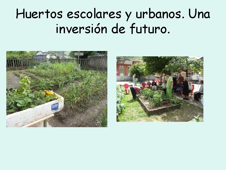 Huertos escolares y urbanos. Una inversión de futuro. 