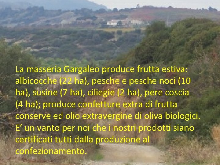 La masseria Gargaleo produce frutta estiva: albicocche (22 ha), pesche e pesche noci (10