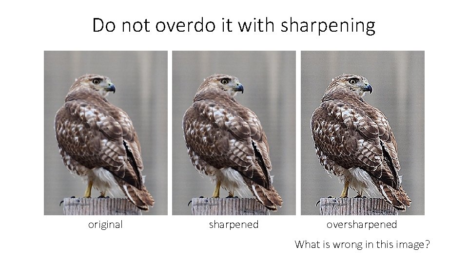 Do not overdo it with sharpening original sharpened oversharpened What is wrong in this