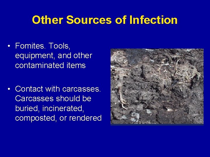 Other Sources of Infection • Fomites. Tools, equipment, and other contaminated items • Contact
