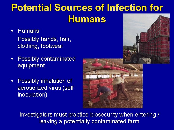 Potential Sources of Infection for Humans • Humans Possibly hands, hair, clothing, footwear •