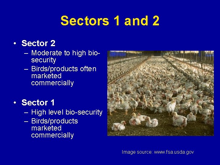 Sectors 1 and 2 • Sector 2 – Moderate to high biosecurity – Birds/products