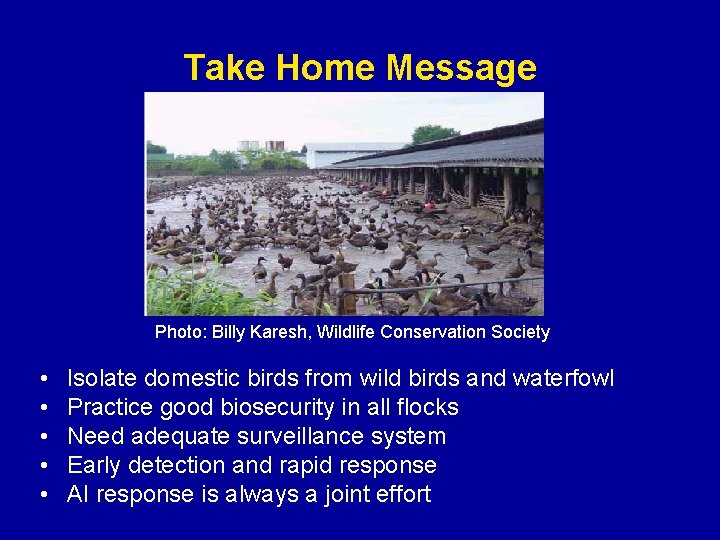 Take Home Message Photo: Billy Karesh, Wildlife Conservation Society • • • Isolate domestic