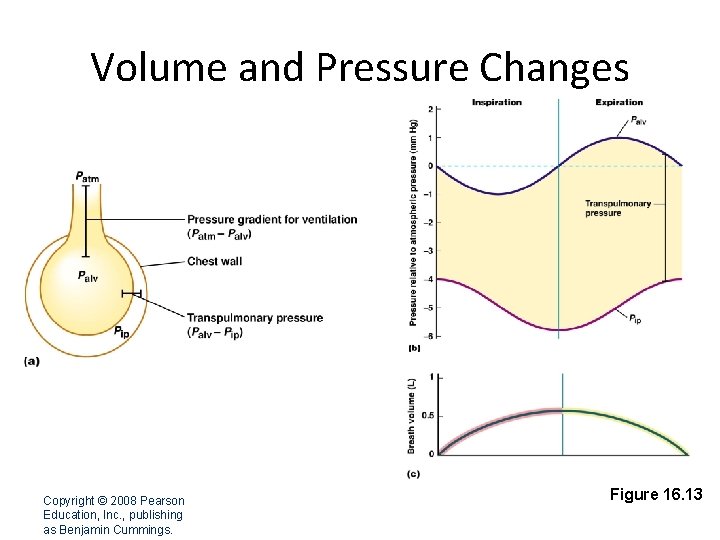 Volume and Pressure Changes Copyright © 2008 Pearson Education, Inc. , publishing as Benjamin