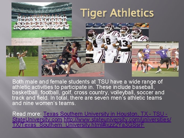 Tiger Athletics Both male and female students at TSU have a wide range of