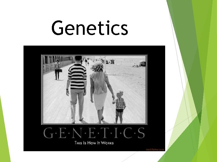 Genetics 