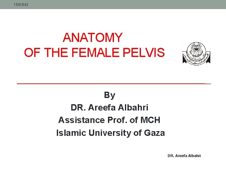 15/03/43 ANATOMY OF THE FEMALE PELVIS By DR. Areefa Albahri Assistance Prof. of MCH