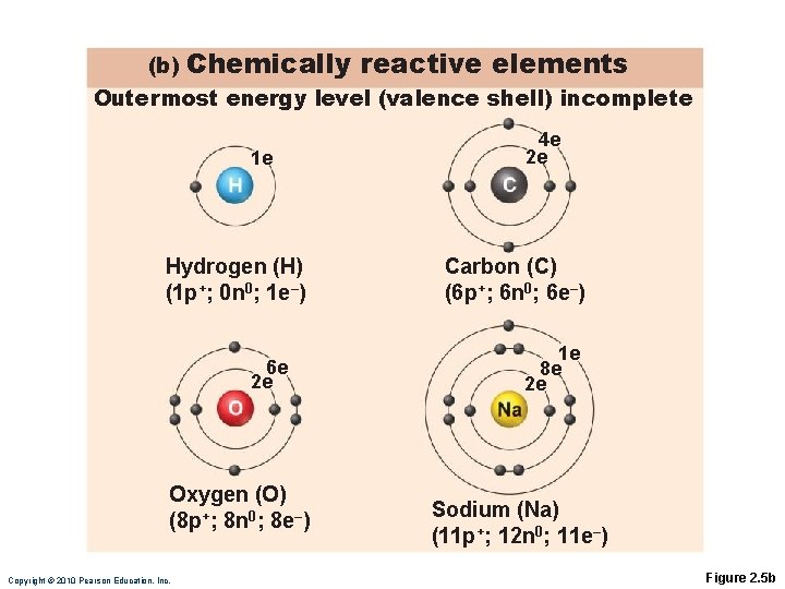 (b) Chemically reactive elements Outermost energy level (valence shell) incomplete 1 e Hydrogen (H)