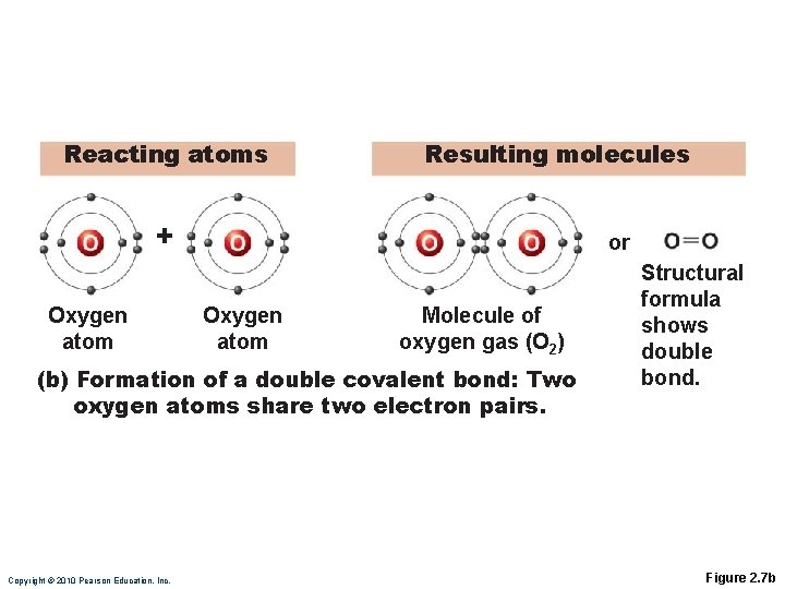 Reacting atoms Resulting molecules + Oxygen atom or Oxygen atom Molecule of oxygen gas