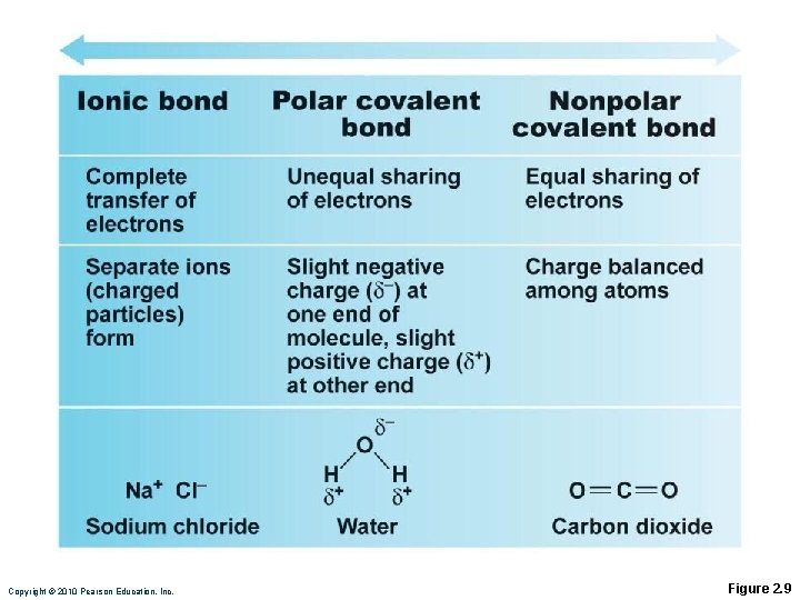 Copyright © 2010 Pearson Education, Inc. Figure 2. 9 