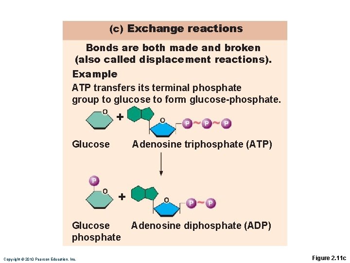 (c) Exchange reactions Bonds are both made and broken (also called displacement reactions). Example