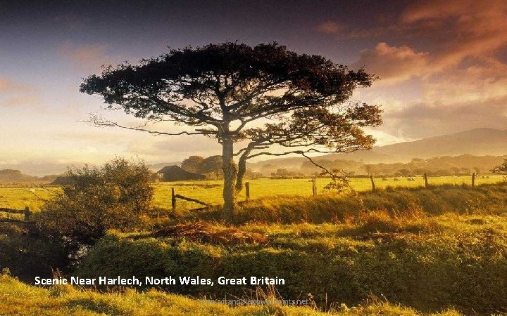 Scenic Near Harlech, North Wales, Great Britain www. vitanoblepowerpoints. net 