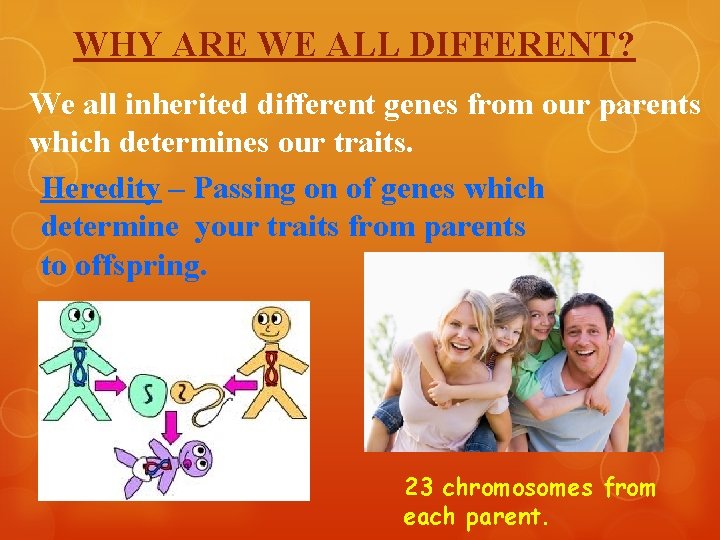 WHY ARE WE ALL DIFFERENT? We all inherited different genes from our parents which