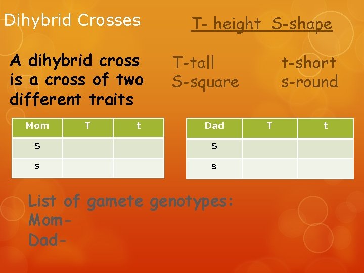 Dihybrid Crosses A dihybrid cross is a cross of two different traits Mom T