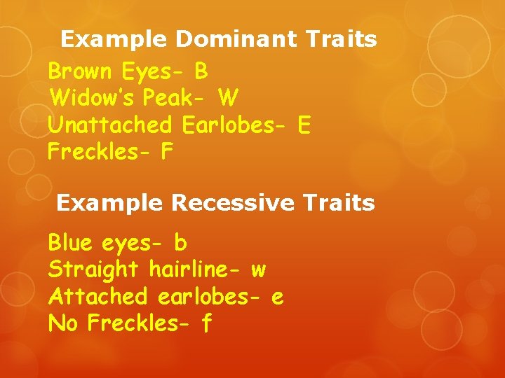 Example Dominant Traits Brown Eyes- B Widow’s Peak- W Unattached Earlobes- E Freckles- F