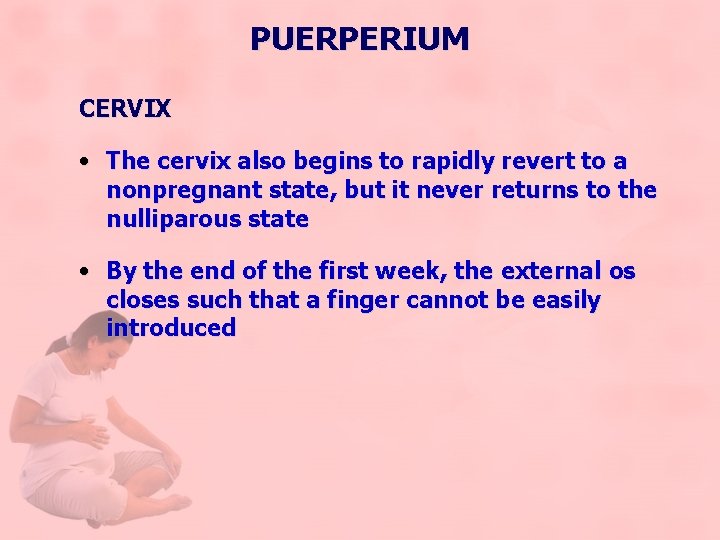 PUERPERIUM CERVIX • The cervix also begins to rapidly revert to a nonpregnant state,