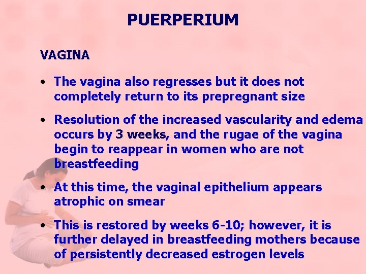 PUERPERIUM VAGINA • The vagina also regresses but it does not completely return to