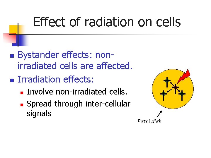 Effect of radiation on cells n n Bystander effects: nonirradiated cells are affected. Irradiation Effect of radiation on cells n n Bystander effects: nonirradiated cells are affected. Irradiation