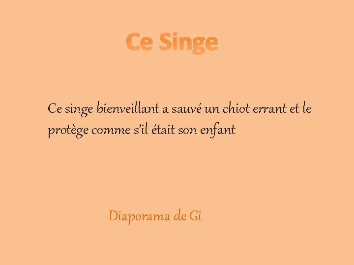 Ce Singe Ce singe bienveillant a sauvé un chiot errant et le protège comme