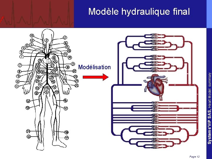 Modèle hydraulique final Systems'Vi. P SAS, Heart Model summary Modélisation Page 12 