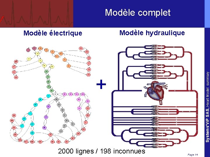 Modèle complet Systems'Vi. P SAS, Heart Model summary Modèle hydraulique Modèle électrique + 2000