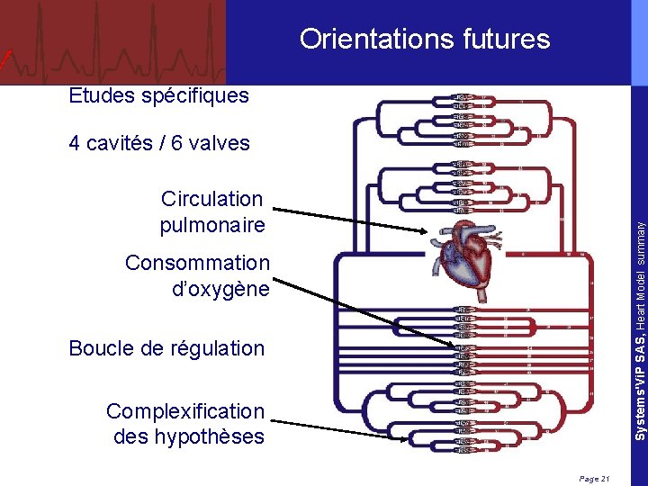 Orientations futures Etudes spécifiques 4 cavités / 6 valves Systems'Vi. P SAS, Heart Model
