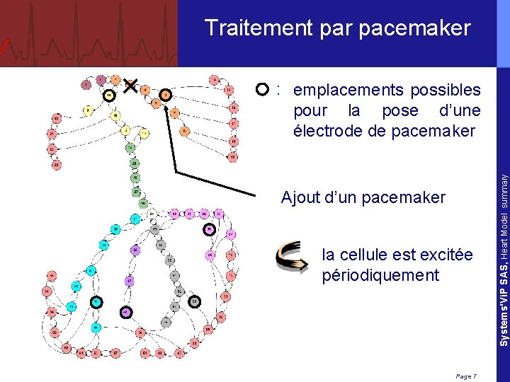 Traitement par pacemaker Ajout d’un pacemaker la cellule est excitée périodiquement Page 7 Systems'Vi.