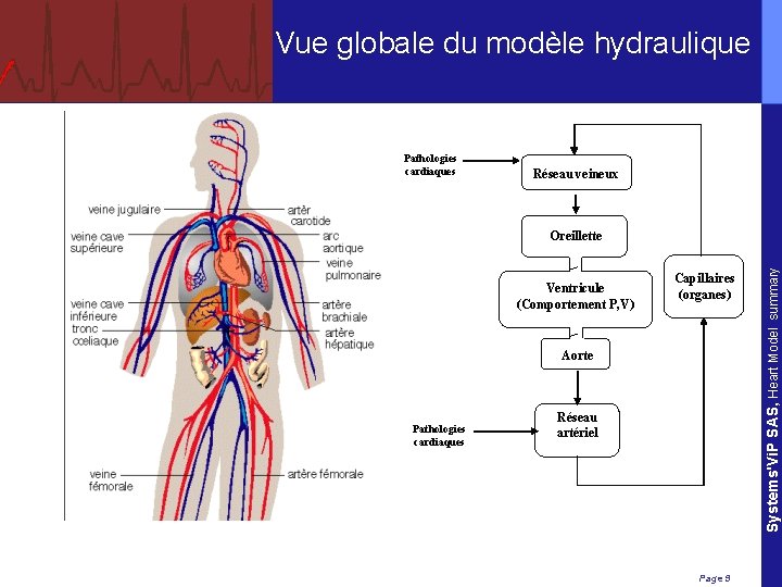 Vue globale du modèle hydraulique Pathologies cardiaques Réseau veineux Ventricule (Comportement P, V) Capillaires