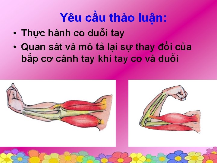 Yêu cầu thảo luận: • Thực hành co duỗi tay • Quan sát và