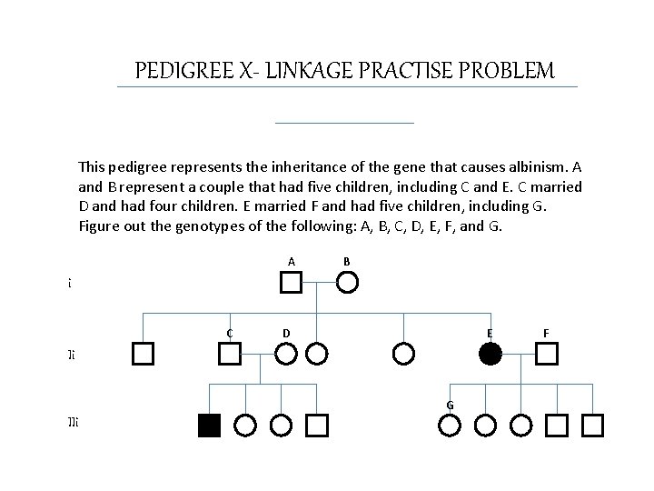 PEDIGREE X- LINKAGE PRACTISE PROBLEM This pedigree represents the inheritance of the gene that