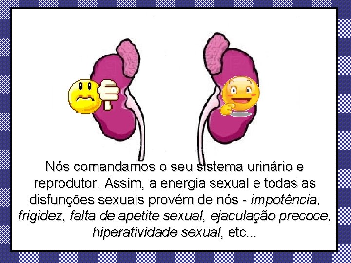 Nós comandamos o seu sistema urinário e reprodutor. Assim, a energia sexual e todas