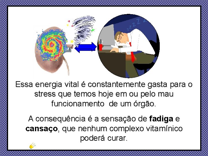 Essa energia vital é constantemente gasta para o stress que temos hoje em ou