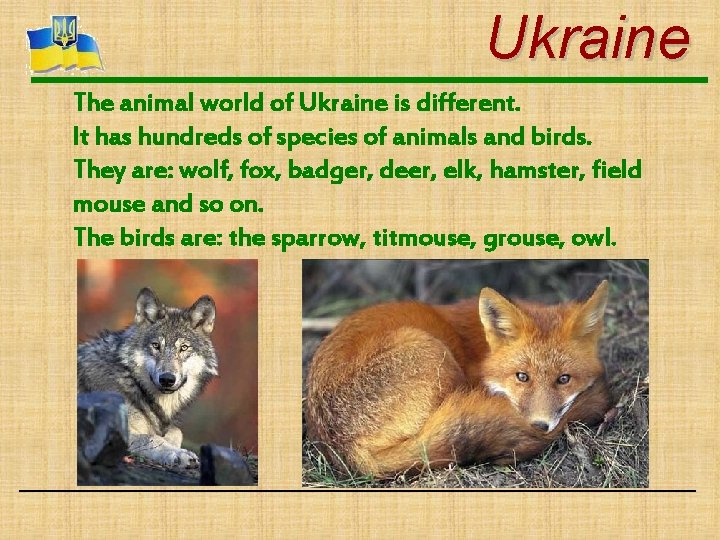 Ukraine The animal world of Ukraine is different. It has hundreds of species of