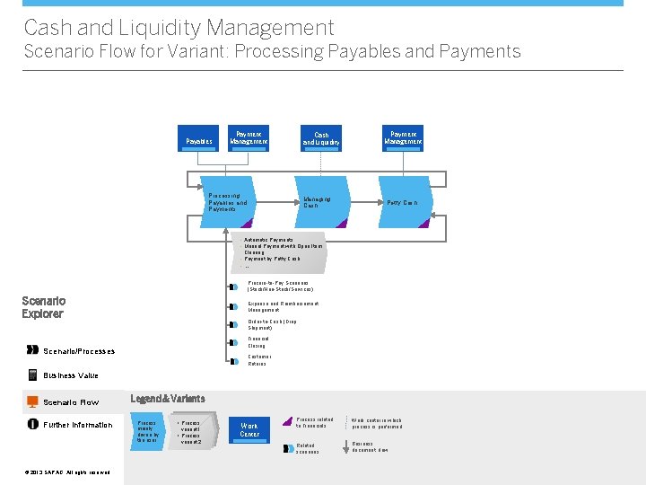 Cash and Liquidity Management Scenario Flow for Variant: Processing Payables and Payments Payables Payment