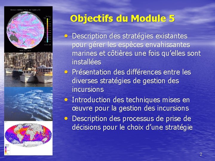 Objectifs du Module 5 • Description des stratégies existantes • • • pour gérer